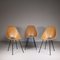 Vintage Chairs by Vittorio Nobili, Set of 3, Image 1