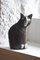 Große handgemachte Keramik Katze von Tony White 3