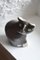 Large Handmade Ceramic Cat by Tony White, Image 10
