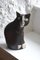 Große handgemachte Keramik Katze von Tony White 4