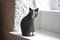 Gatto grande in ceramica fatto a mano di Tony White, Immagine 1