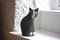 Große handgemachte Keramik Katze von Tony White 1