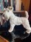 Vintage German Art Deco Porcelain Figure Fox, 1930s 3