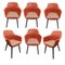 Dining Chair in Coral with Cushions, Set of 6 1