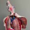 Anatomisches japanisches Modell Nakamura, 1970er 19