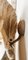 Applique Murale Feuille Rhubarbe de Tommaso Barbi 2