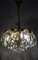Brass and Crystal Chandelier from Palwa, 1960s 15