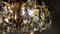 Brass and Crystal Chandelier from Palwa, 1960s 14