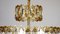 Faustig Rainbow Lead Crystal Brass Chandelier, 1970s 5