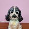 Lámpara de mesa Butch Cocker Spaniel de porcelana de Albert Staehle para Goebel, años 50, Imagen 5