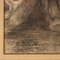 Paul Jouve, Buffalo, matita e acquerello su carta, con cornice, Immagine 7