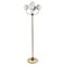 Brass and Opal Globe Floor Lamp, Germany, 1970s, Image 1