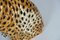 Vintage Ceramic Leopard, Italy, 1970s, Image 6