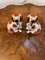 Victorian Staffordshire Dogs, 1880, Set of 2 5