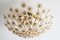 Hollywood Regency Brass & Gold-Plated Crystal Flower Ceiling Light from Palwa, 1970s 1