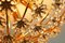 Hollywood Regency Blumen Deckenlampe aus Messing & vergoldetem Kristallglas von Palwa, 1970er 7