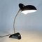 Mid-Century Black Lacquered Gooseneck Table Lamp, 1950s 7