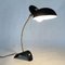 Mid-Century Black Lacquered Gooseneck Table Lamp, 1950s, Image 7