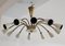 Lampadario Spider o Sputnik Mid-Century moderno a 12 braccia di Stilnovo, Italia, anni '50, Immagine 3