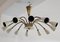 Lámpara de araña Spider o Sputnik Mid-Century moderna de 12 brazos de Stilnovo, Italia, años 50, Imagen 3