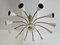 Lámpara de araña Spider o Sputnik Mid-Century moderna de 12 brazos de Stilnovo, Italia, años 50, Imagen 6