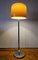 MCM Floor Lamp by Luigi Massoni for Guzzini, 1960s 5