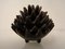 Hedgehog Ashtrays, 1950s, Set of 6 12