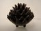 Hedgehog Ashtrays, 1950s, Set of 6, Image 12