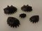 Hedgehog Ashtrays, 1950s, Set of 6, Image 14