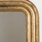 19th Century Louis Philippe Mirror with Flowers, Image 3