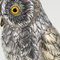 20th Century German Silver Owl Figure from Hanau, 1920 15