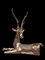 Hollywood Regency Polished Brass Stag attributed to Sarreid, 1960, Image 1