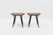 Pirrka Stools by Ilmari Tapiovaara for Artek, Finland, 2000s, Set of 2 2