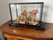 Large Antique Chinese Carved Cork Diorama in Ebonised Glass Display Case, 1890s 1