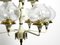 Brass and Glass Tulipan Chandelier by Hans Agne Jakobsson for Hans-Agne Jakobsson AB Markaryd, 1960s 8