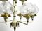 Brass and Glass Tulipan Chandelier by Hans Agne Jakobsson for Hans-Agne Jakobsson AB Markaryd, 1960s, Image 8