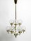 Brass and Glass Tulipan Chandelier by Hans Agne Jakobsson for Hans-Agne Jakobsson AB Markaryd, 1960s 1