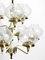 Brass and Glass Tulipan Chandelier by Hans Agne Jakobsson for Hans-Agne Jakobsson AB Markaryd, 1960s 15