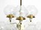 Brass and Glass Tulipan Chandelier by Hans Agne Jakobsson for Hans-Agne Jakobsson AB Markaryd, 1960s 7