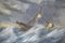 Escenas náuticas, siglo XX, óleo a bordo, enmarcado, Juego de 4, Imagen 10