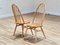 Elm Dining Chairs by Lucian Ercolani for Ercol, 1960s, Set of 8, Image 3