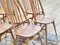 Elm Dining Chairs by Lucian Ercolani for Ercol, 1960s, Set of 8, Image 4