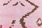 Tappeto grande rosa polvere e canapa marrone, Immagine 9