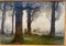 Vittorio Cavalleri, árboles, 1900, óleo sobre tabla, enmarcado, Imagen 2