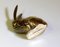 Figura de conejo pequeña de latón dorado, años 70, Imagen 3
