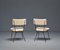 Italienische Stühle von Studio BBPR Chairs für Arflex, 1950er, 2er Set 6