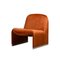 Vintage Italian Alky Lounge Chair in Autumn Velvet by Giancarlo Piretti for Anonima Castelli, 1970s, Image 1