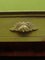 Bohemian Green Painted Cabinet with Drawer, 1890s 17