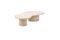 Organic Shaped Natural Plaster Coffee Table by Isabelle Beaumont 5