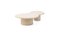 Organic Shaped Natural Plaster Coffee Table by Isabelle Beaumont 1